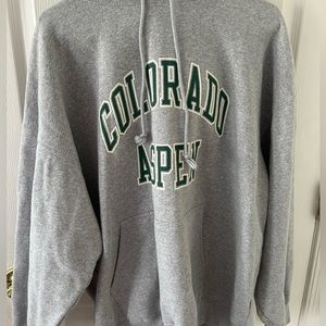 Brandy Melville Oversized Hoodie